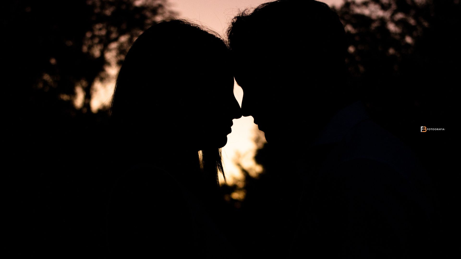 book Rosario
